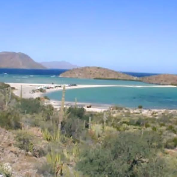 Visitar la Reserva de la Biosfera El Vizcaíno – BAJA CALIFORNIA SUR, MARAVILLAS NATURALES